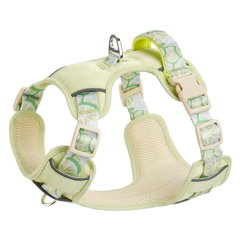 Floral Harness & Leash Set