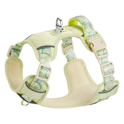 Floral Harness & Leash Set
