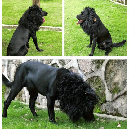 Lion Mane Dog Hat for Dogs – Black