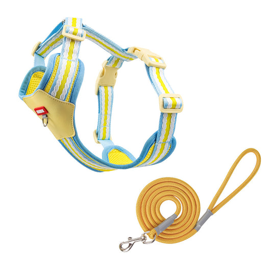 Breathable Mesh Harness & Leash Set