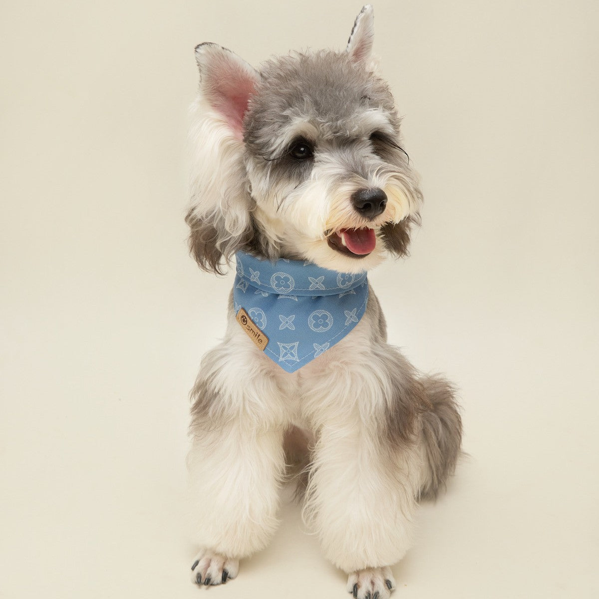 Monogram Dog Bandana for Dogs – Blue