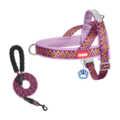 Geometric Reflective Harness & Leash Set