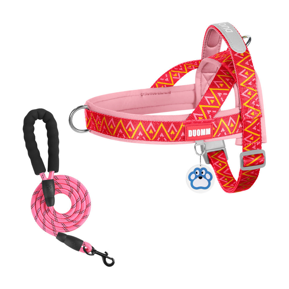 Geometric Reflective Harness & Leash Set