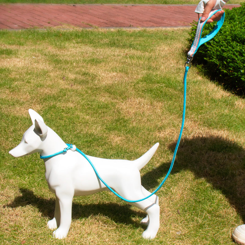 Adjustable Slip Lead Dog Leash