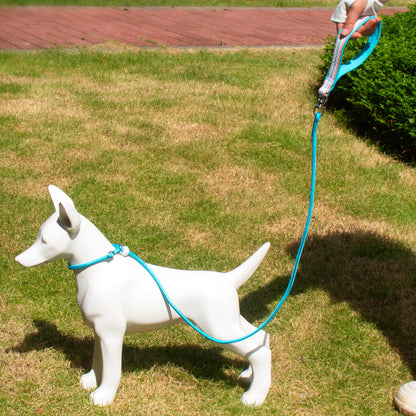 Adjustable Slip Lead Dog Leash