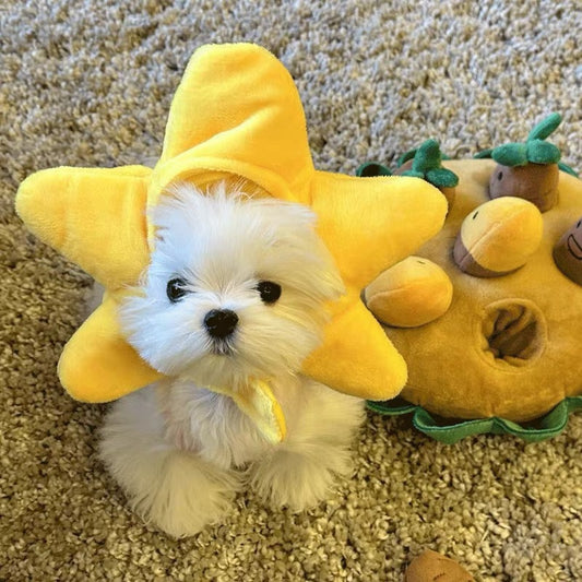 Star Dog Hat for Dogs – Yellow