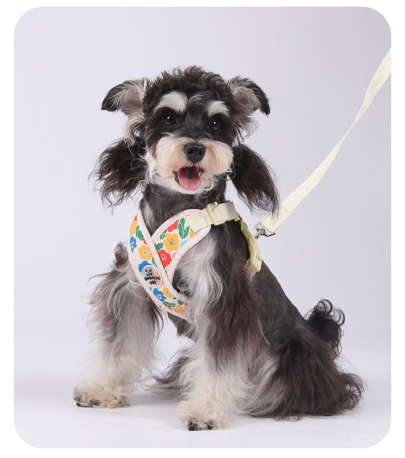Floral Mesh Dog Harness Set