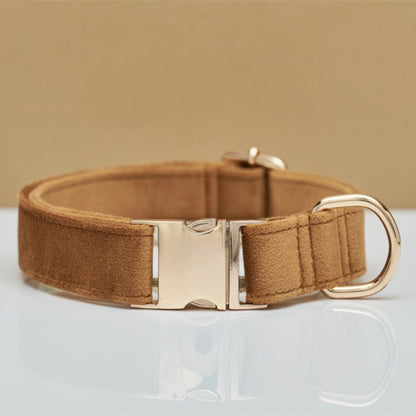 Personalized Velvet Collar & Leash Set