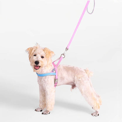 Lightweight Quick-Wear Harness & Leash Set