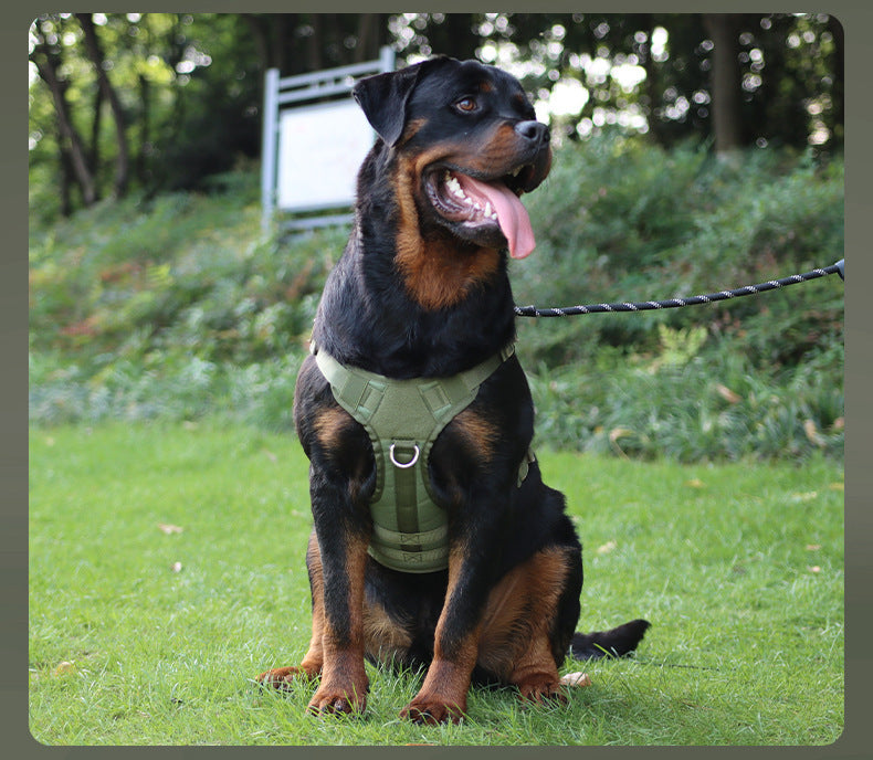 Tactical Dog Harness, Leash & Pouch Set