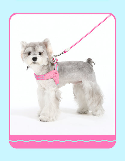 Wave Pattern Harness & Leash Set