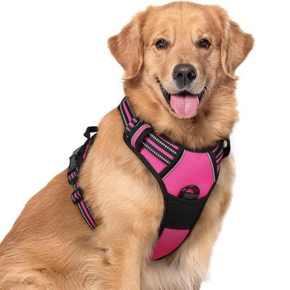 No-Pull Mesh Dog Harness