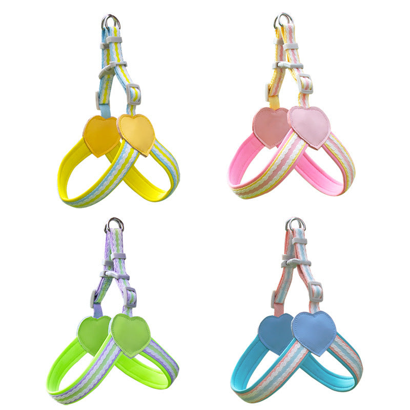 Striped Neoprene Harness & Leash Set