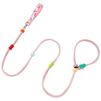 Integrated Training Dog Leash for Dogs – Purple