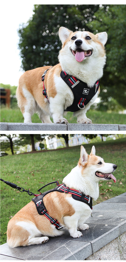 Reflective Harness & Leash Set