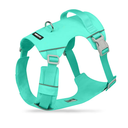 Reflective Lightweight Dog Harness & Leash Set