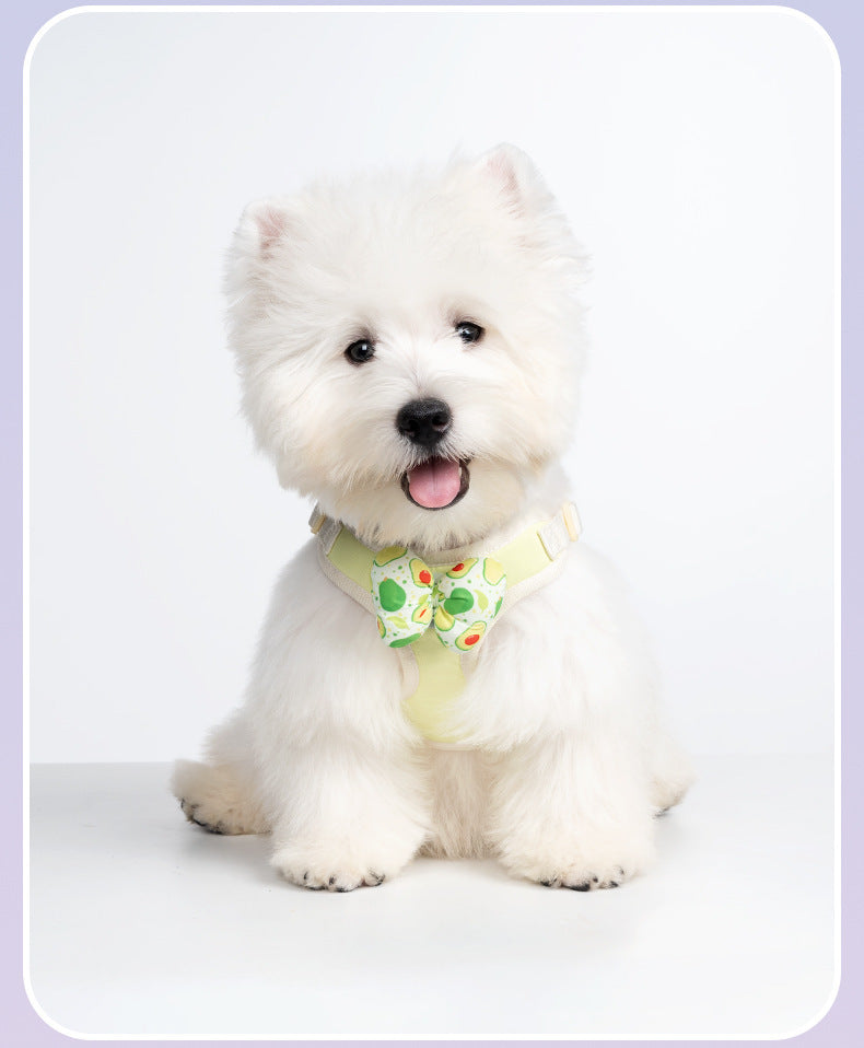 Fruit Pattern Harness & Leash Set