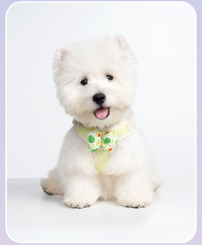 Fruit Pattern Harness & Leash Set