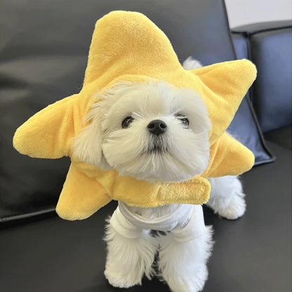 Star Dog Hat for Dogs – Yellow
