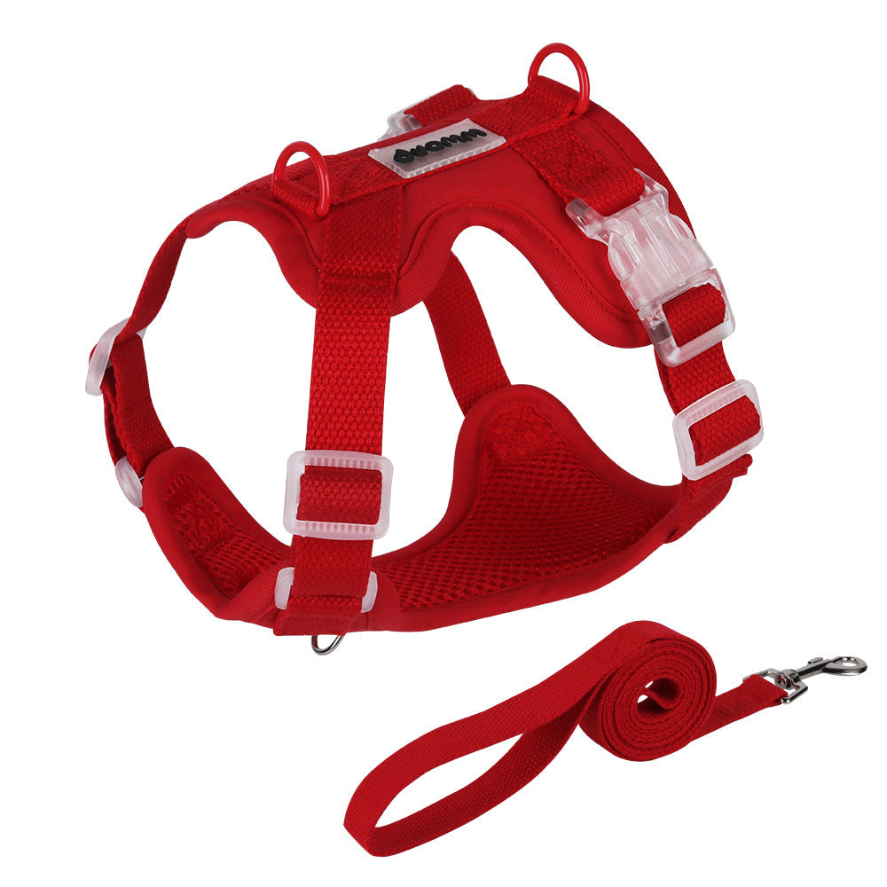 Breathable Mesh Harness & Leash Set