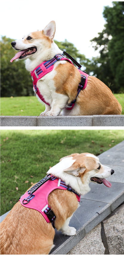 Reflective Harness & Leash Set