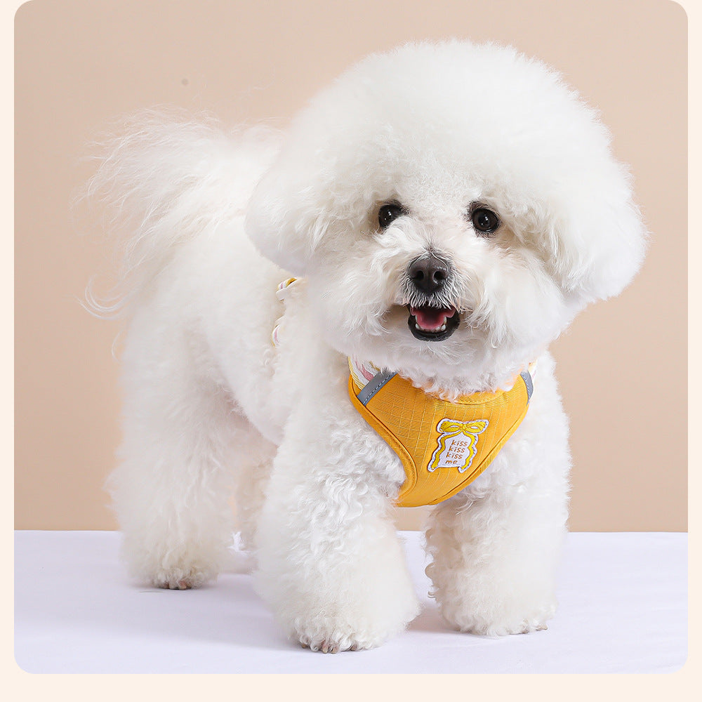 Plush Bow Harness & Leash Set