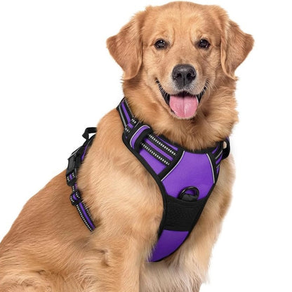 No-Pull Mesh Dog Harness