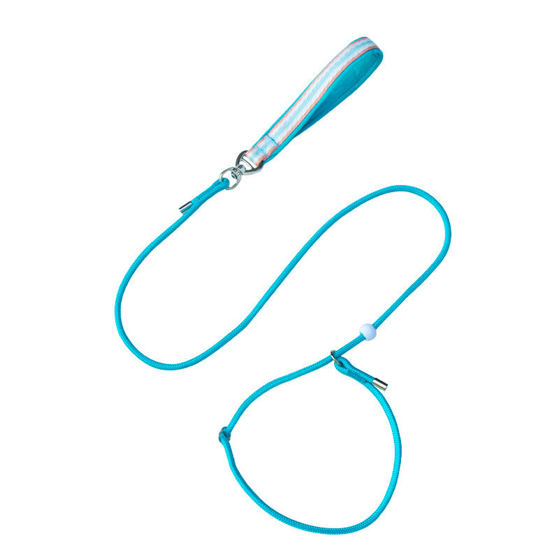 Adjustable Slip Lead Dog Leash