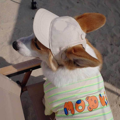 Korean Style Baseball Cap for Dogs – Black