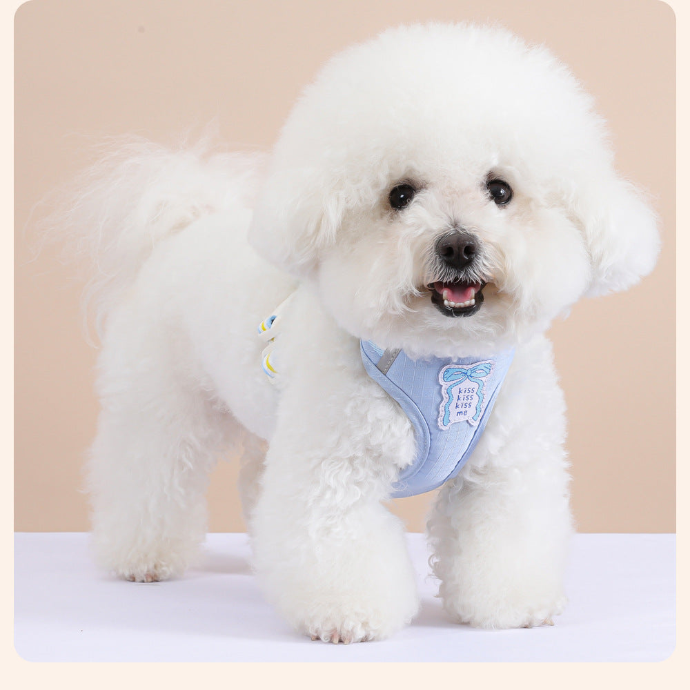 Plush Bow Harness & Leash Set
