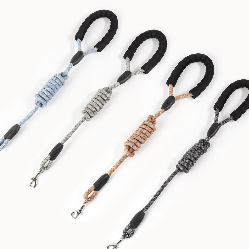 Braided Nylon Dog Leash