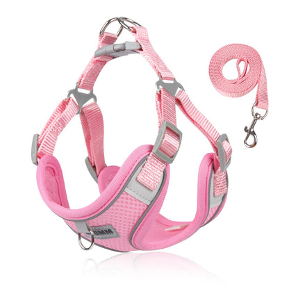 Breathable Mesh Harness & Leash Set