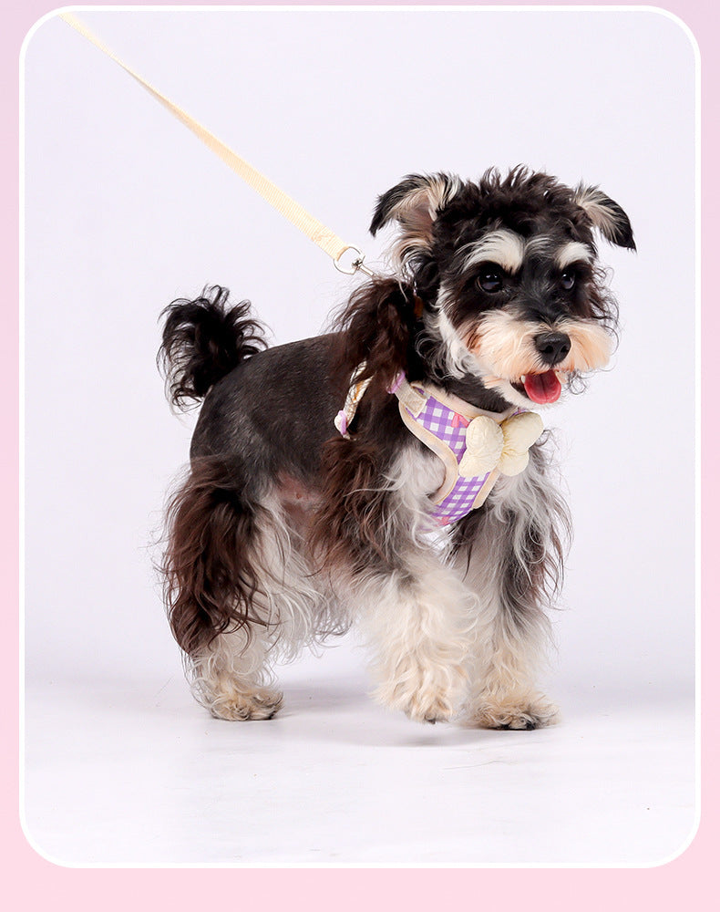 Plaid Bow Harness & Leash Set