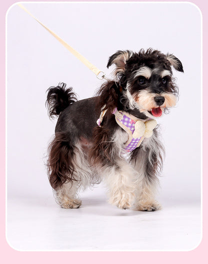 Plaid Bow Harness & Leash Set