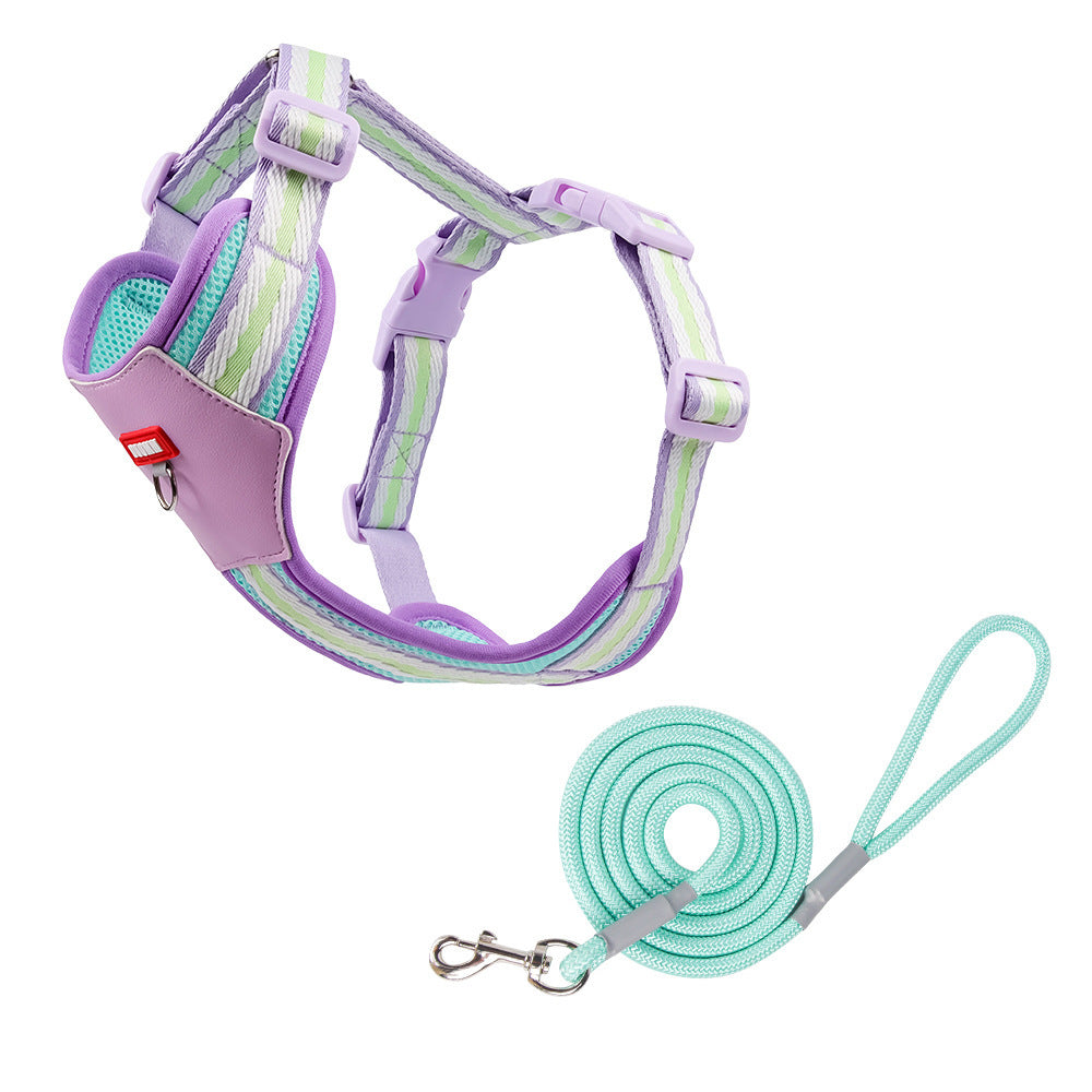 Breathable Mesh Harness & Leash Set