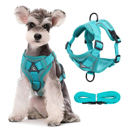 Reflective Mesh Harness & Leash Set