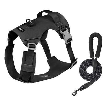 Reflective Lightweight Dog Harness & Leash Set