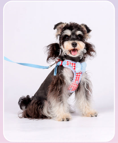 Plaid Bow Harness & Leash Set