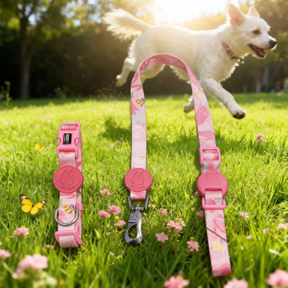 Patterned Accessory Set for Dogs – Multi-Color