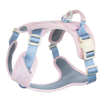 Pop Art Harness & Leash Set