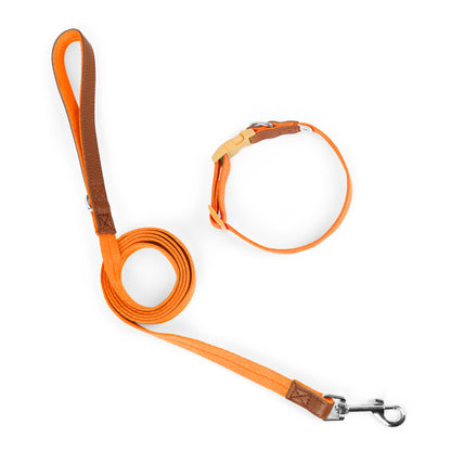 Two-Tone Dog Accessory Set for Dogs – Multi
