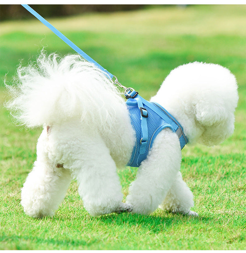 Reflective Mesh Harness & Leash Set