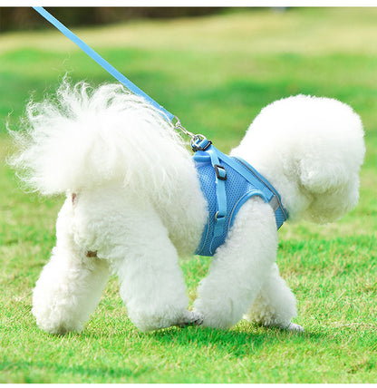 Reflective Mesh Harness & Leash Set