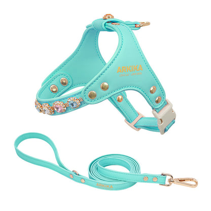 Sparkle Rhinestone Harness & Leash Set