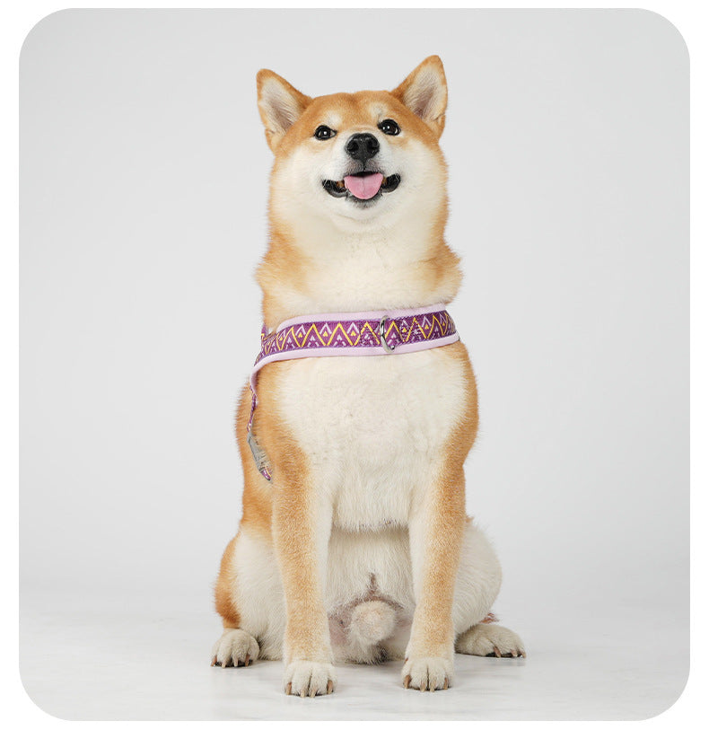 Geometric Reflective Harness & Leash Set