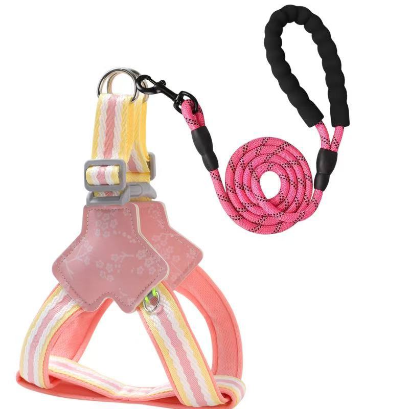 Floral Harness & Leash Set