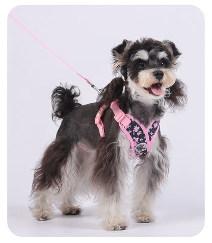 Floral Mesh Dog Harness Set