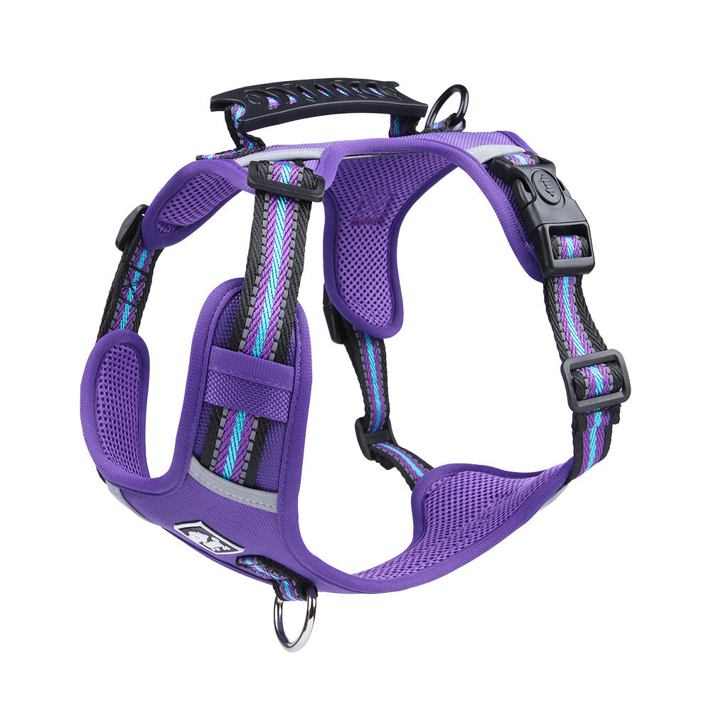 Reflective Harness & Leash Set