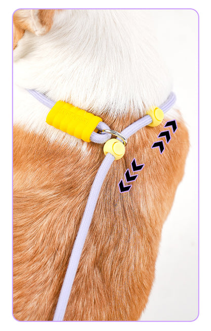 Cushioned Slip Lead Dog Leash