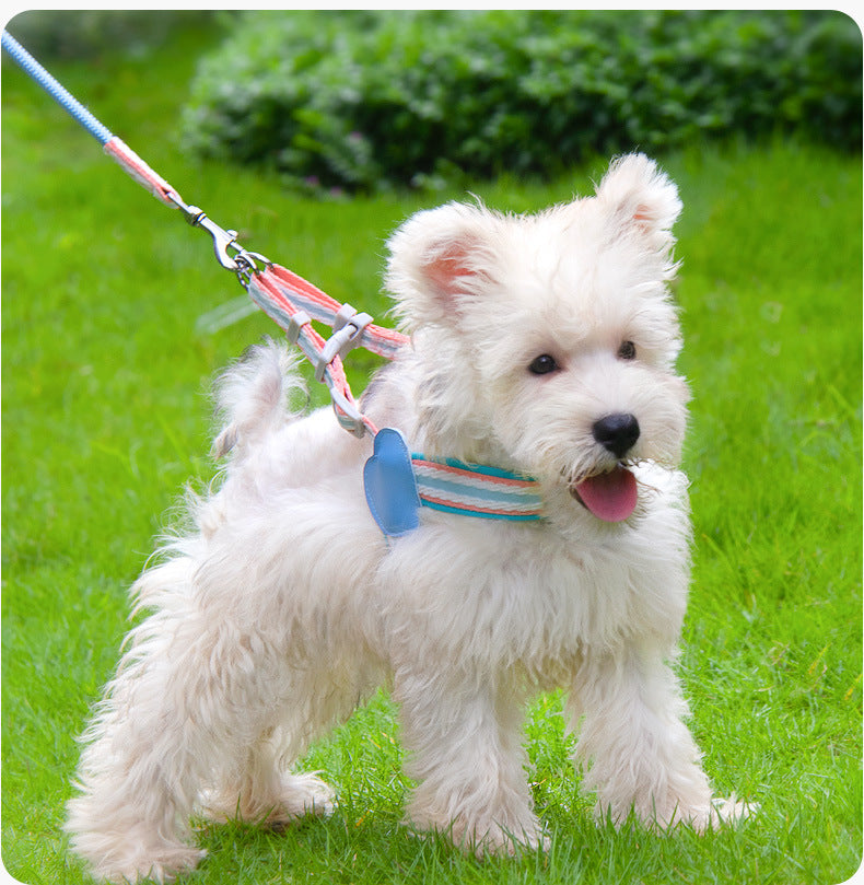 Striped Neoprene Harness & Leash Set